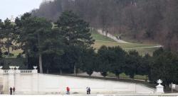 Photo Textures of Nature